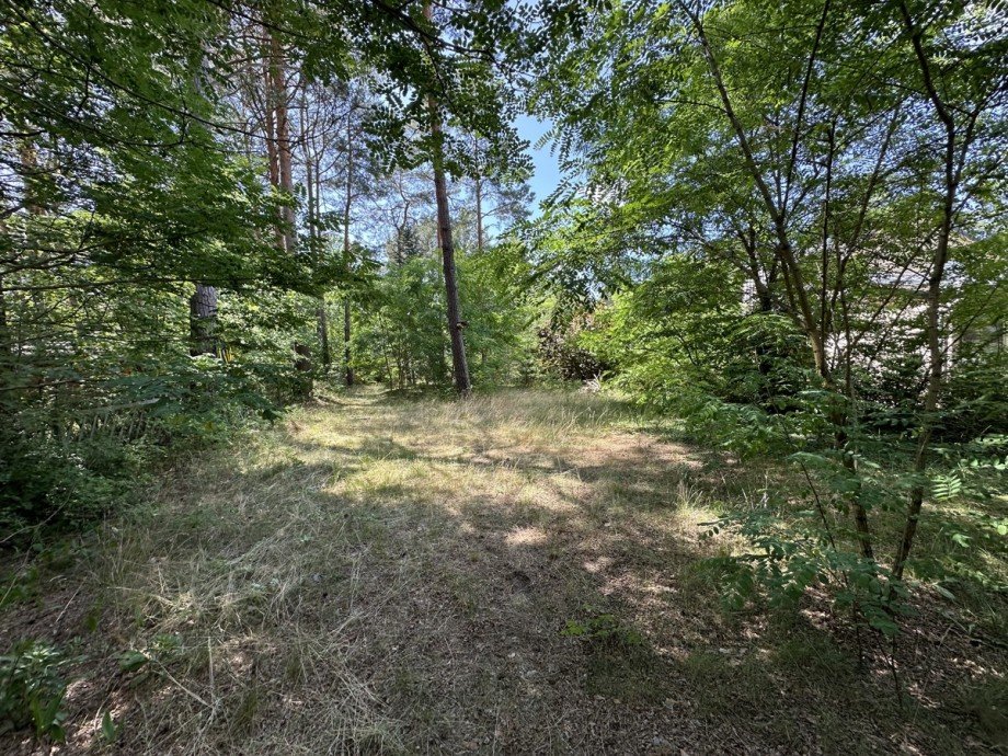9 Wohngrundst�ck Gro� K�ris / Klein K�ris