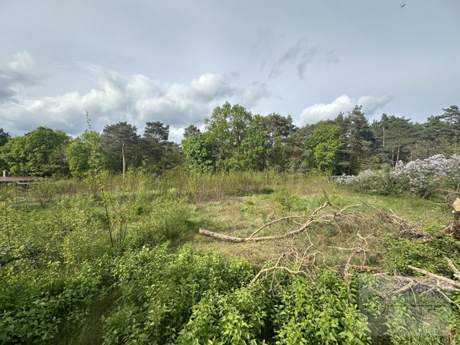 3 Grundst�ck Wohngrundst�ck Zossen / Dabendorf