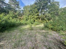 Hauptbild Bautr�gerfreies Baugrundst�cke ca. 1000 m�