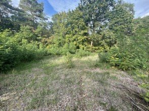 Hauptbild Bautr�gerfreies Baugrundst�cke ca. 1000 m�