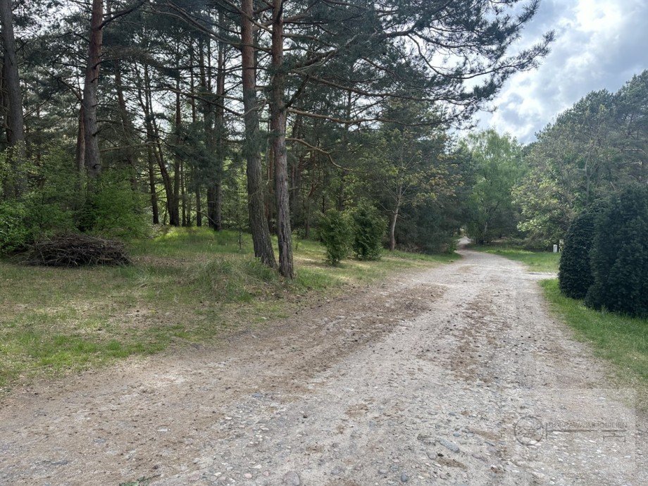 Stra�e vor dem Grundst�ck Wohngrundst�ck Zossen / Dabendorf