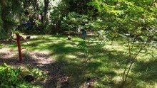 Garten Grundst�ck in Ruhiger Umgebung