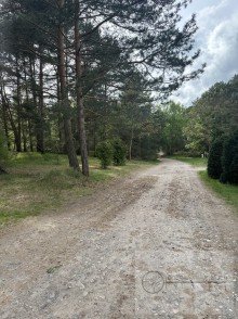 Stra�e vor dem Grundst�ck Bautr�gerfreies Baugrundst�ck in traumhafter Lage von Dabendorf