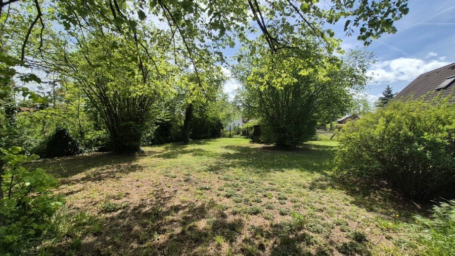 Hinterer Gartenbereich Wohngrundst�ck K�nigs Wusterhausen / Zeesen