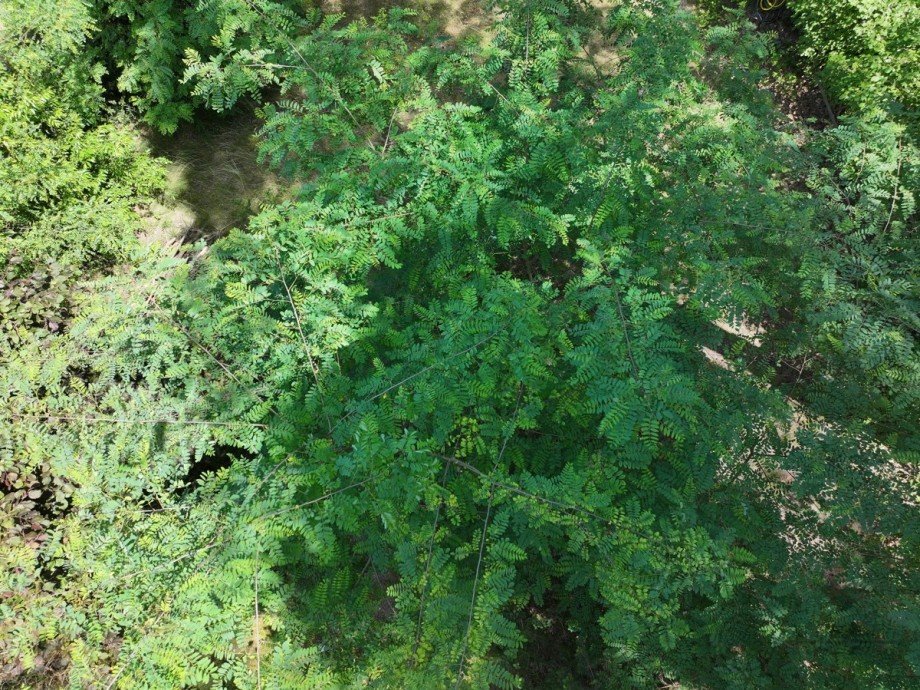 7 Wohngrundst�ck Gro� K�ris / Klein K�ris