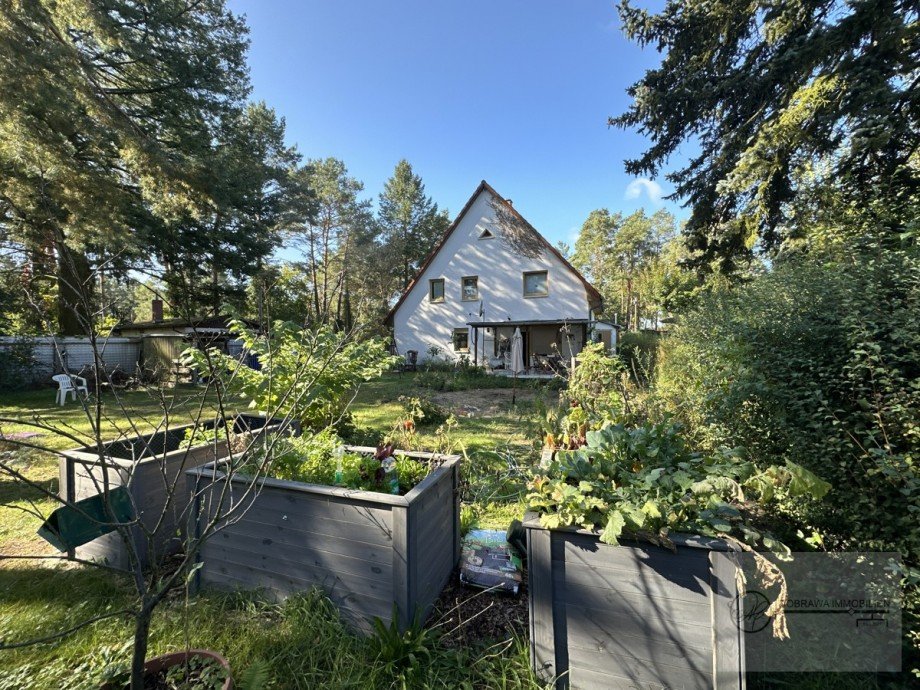 Gartenansicht Zweifamilienhaus Senzig
