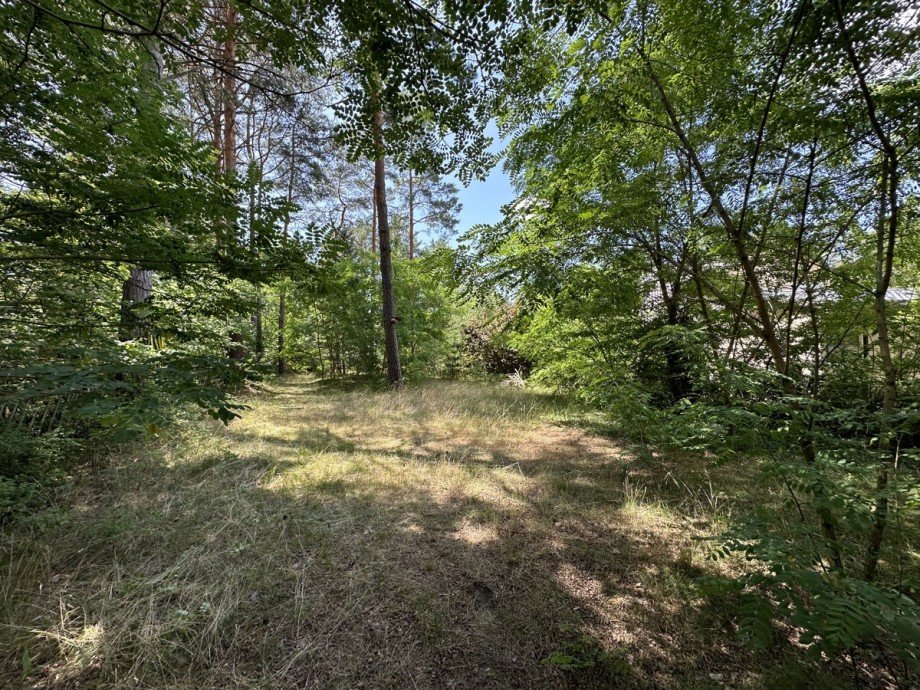 8 Wohngrundst�ck Gro� K�ris / Klein K�ris