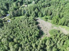 Drohnenaufnahme Gro�z�giges Wassergrundst�ck im Herzen des Spreewalds zum Kauf