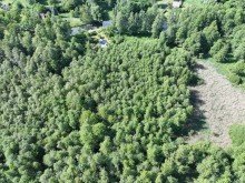 Drohnenaufnahme Gro�z�giges Wassergrundst�ck im Herzen des Spreewalds zum Kauf