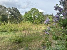 Hauptbild Bautr�gerfreies Baugrundst�ck in traumhafter Lage von Dabendorf