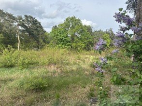 Hauptbild Bautr�gerfreies Baugrundst�ck in traumhafter Lage von Dabendorf