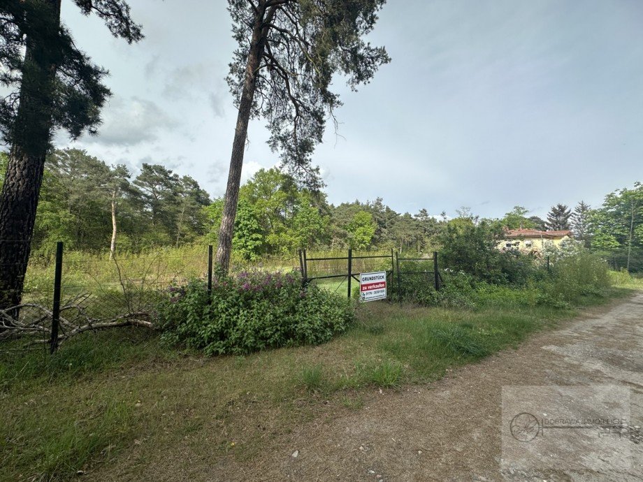 Stra�enansicht Wohngrundst�ck Zossen / Dabendorf