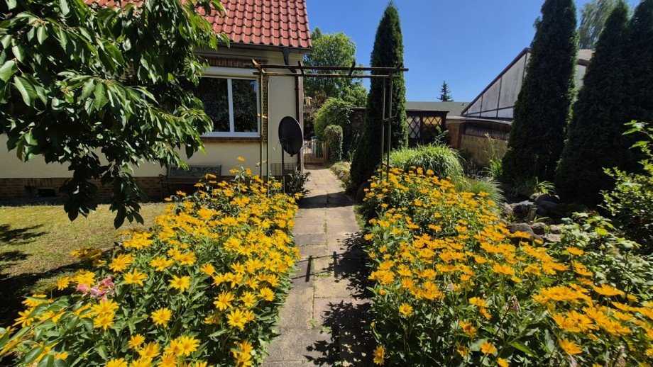 Vorderer Garten Einfamilienhaus M�rkisch Buchholz / K�then